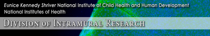 Eunice Kennedy Shriver National Institute of Child Health and Human Development, Division of Intramural Research
